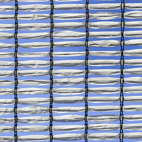 画像：ダイオネット 810SG シルバー