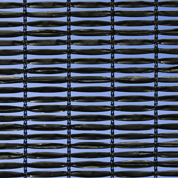 画像：ダイオネット 1010 黒