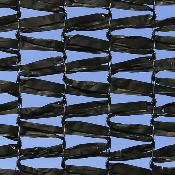 画像：ダイオラッセル