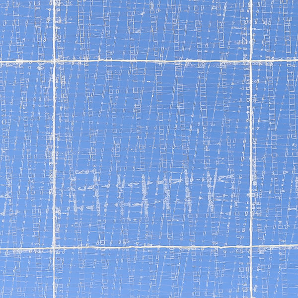 画像：ダイオベタロン