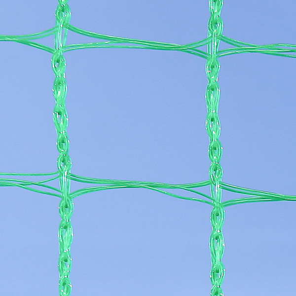 画像：アニマルガードネット 緑