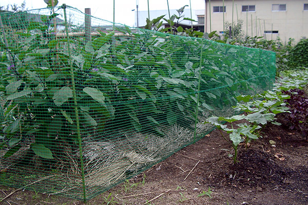 画像：防鳥獣ネット