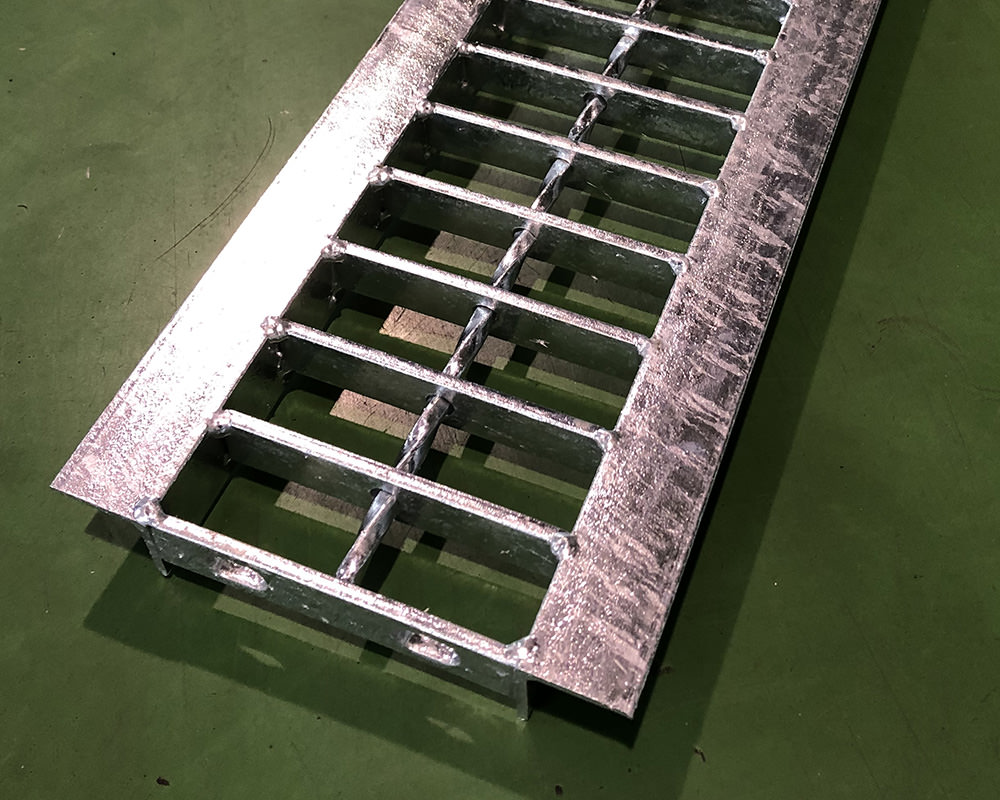 普通目 プレーンタイプ