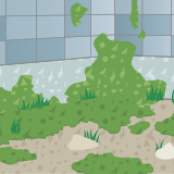 コケが生えた場所