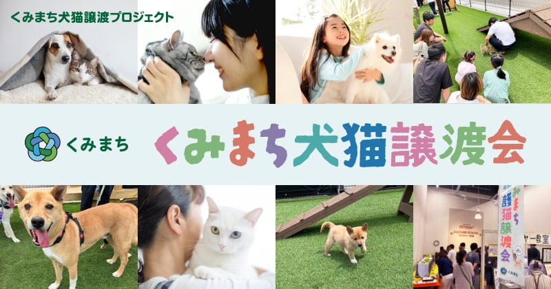 くみまち犬猫譲渡会