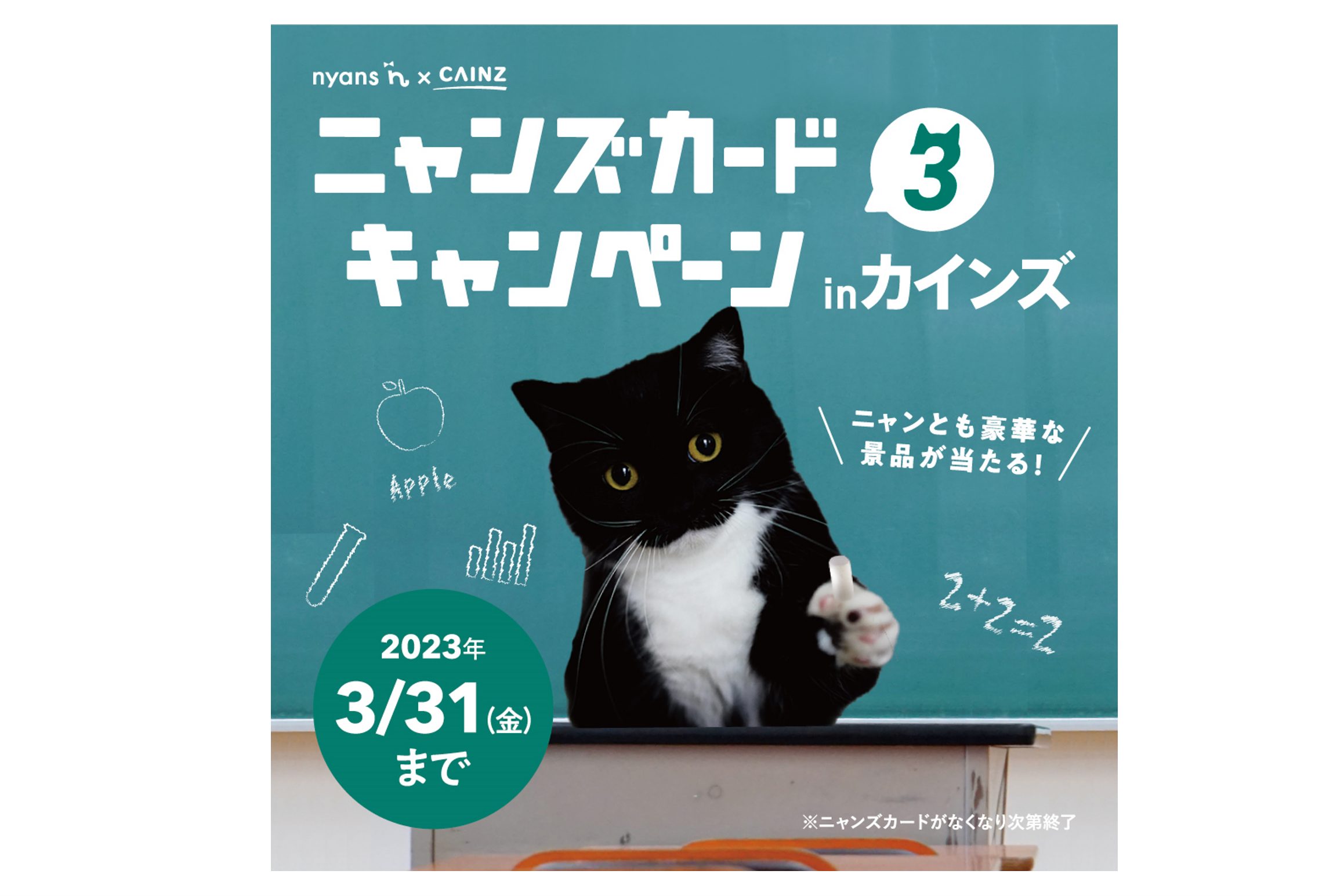 メルカリで24時間以内に売れなければ300円 「みんな待ってる花猫ニャンコ」